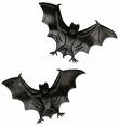 haloween bats